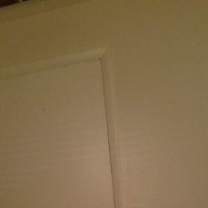 Meet your Posher, Josephine